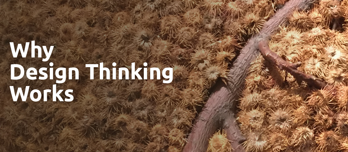 HBR, Jeanne Liedke, Why Design Thinking Works
